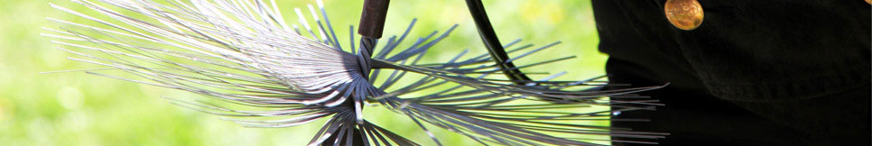 Banner - Jörg Moser